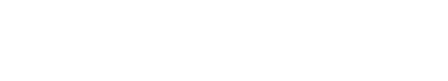 Ninestone Consulting logo